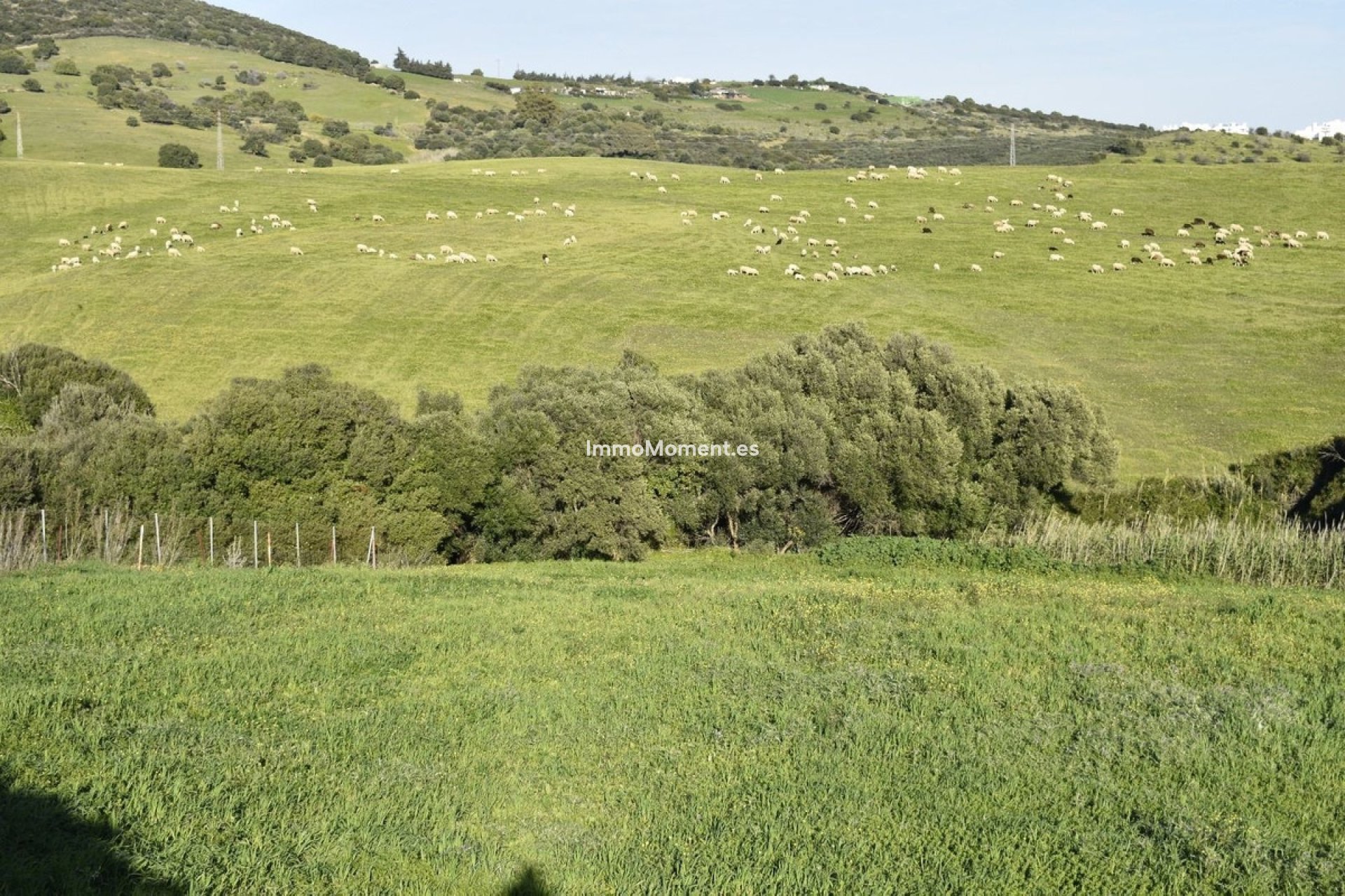 Reventa - Casa de campo - Casares - Casares Centro