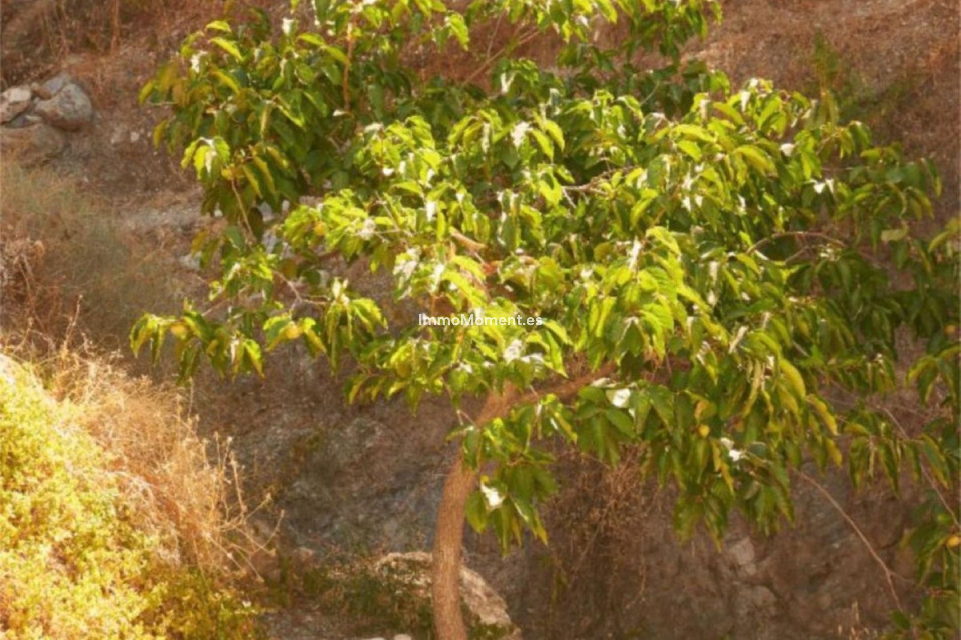 Reventa - Casa de campo - Casares - Casares Centro