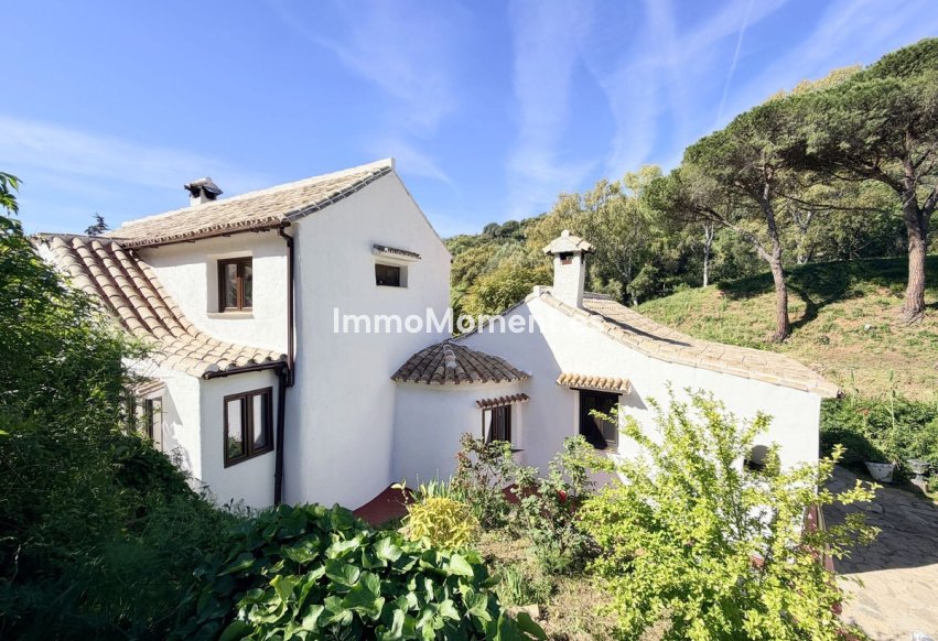 Reventa - Casa de campo - Casares - Casares Centro