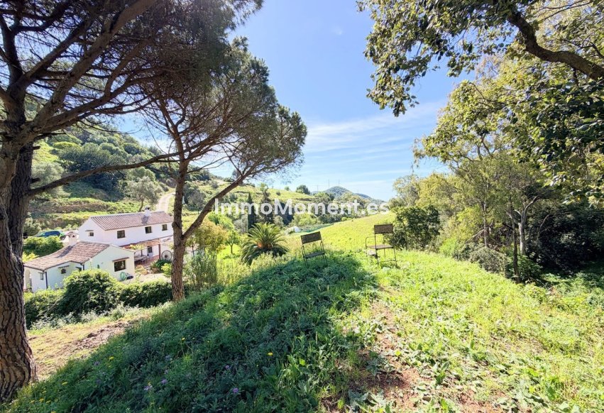Reventa - Casa de campo - Casares - Casares Centro