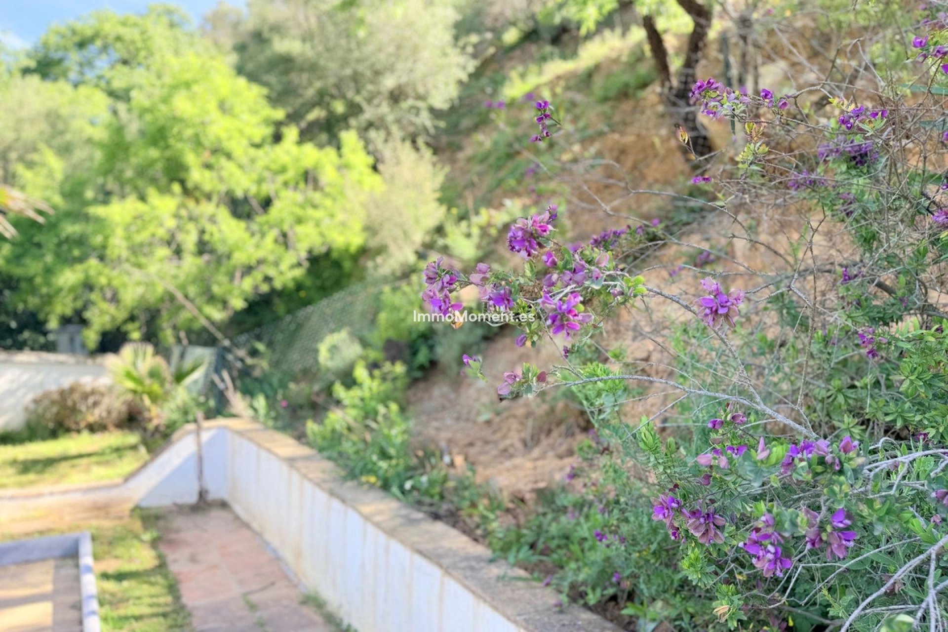 Reventa - Casa de campo - Casares - Casares Centro