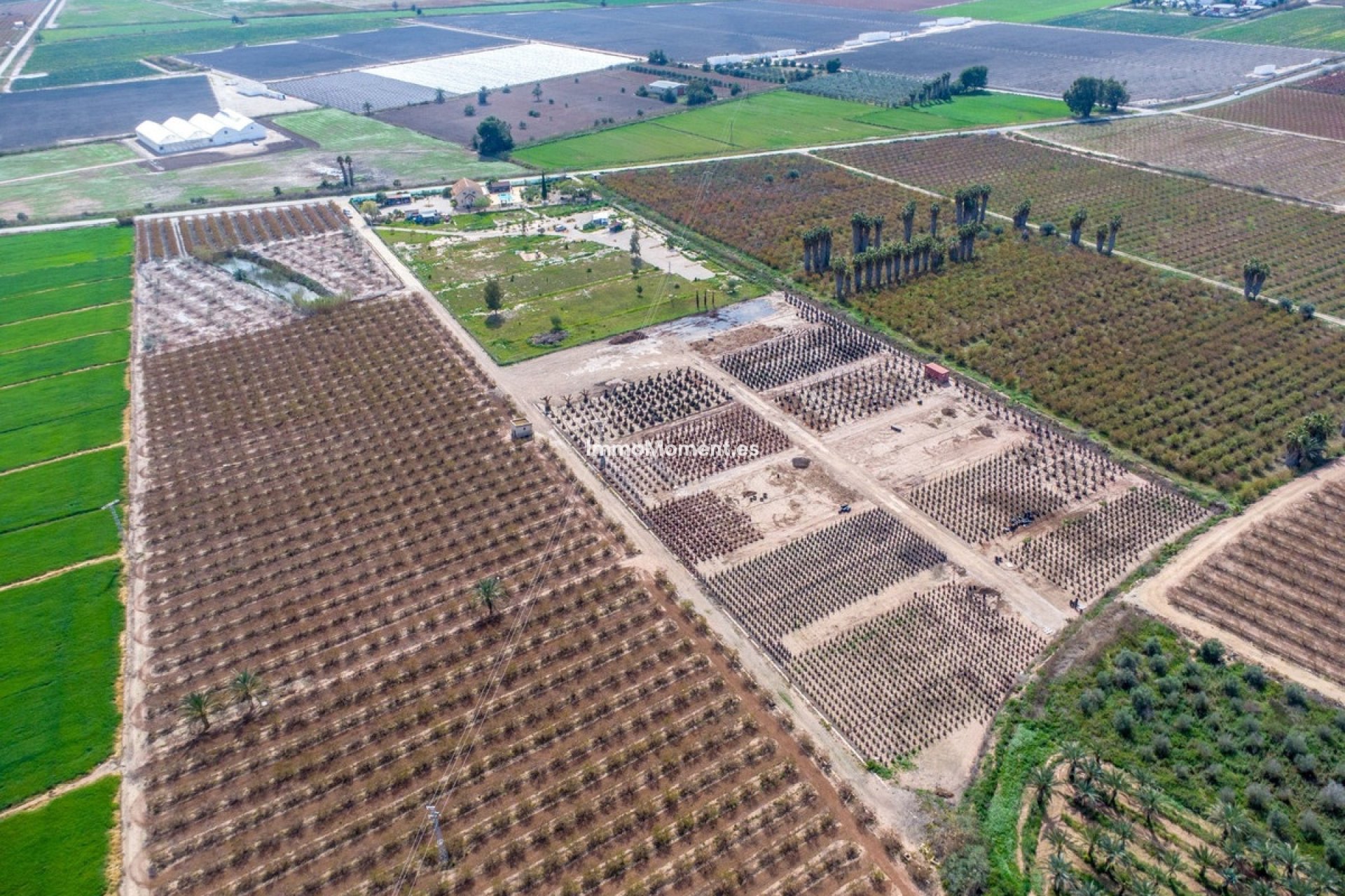 Reventa - Casa de campo - Crevillente - Crevillente - Crevillent Centro