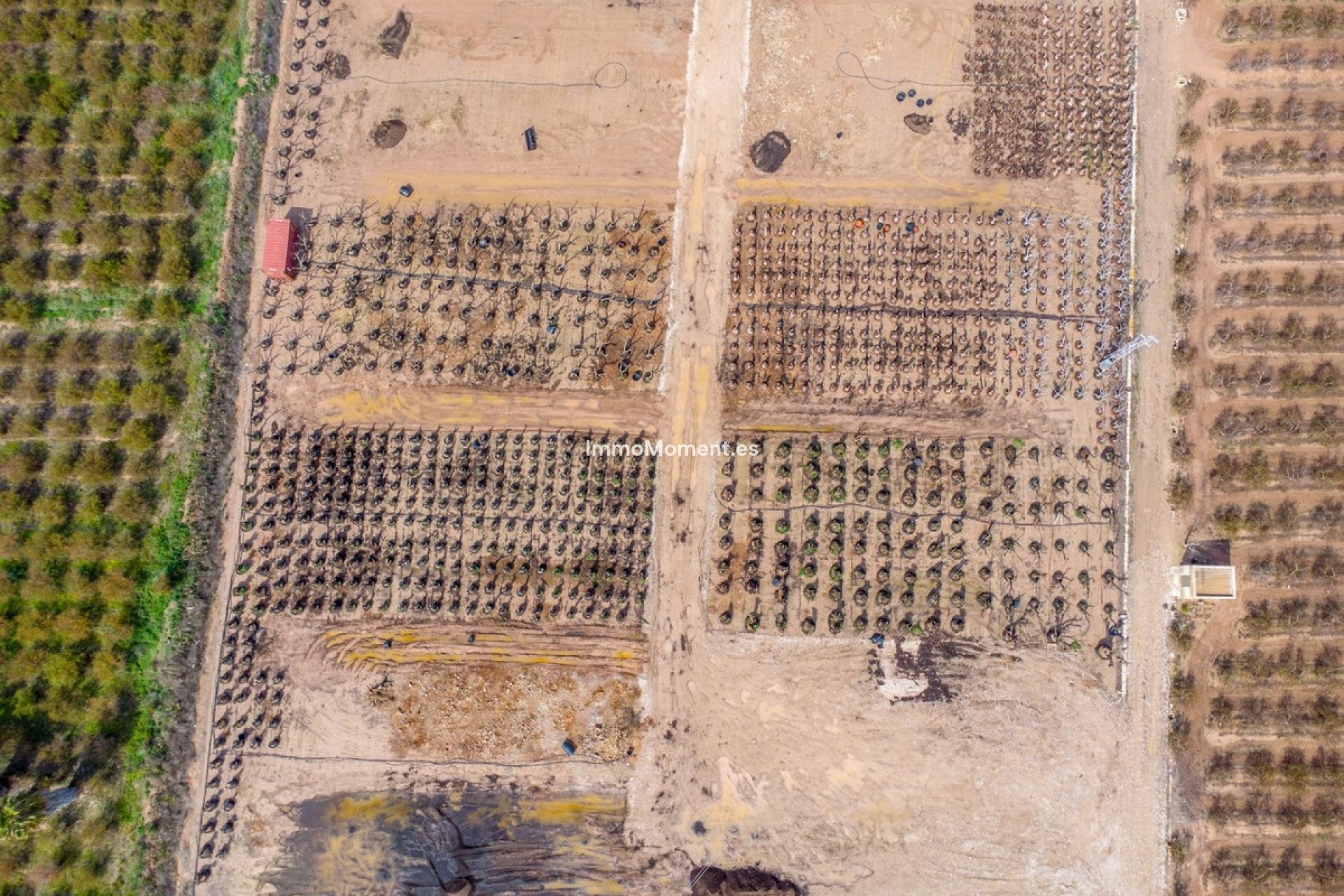 Reventa - Casa de campo - Crevillente - Crevillente - Crevillent Centro