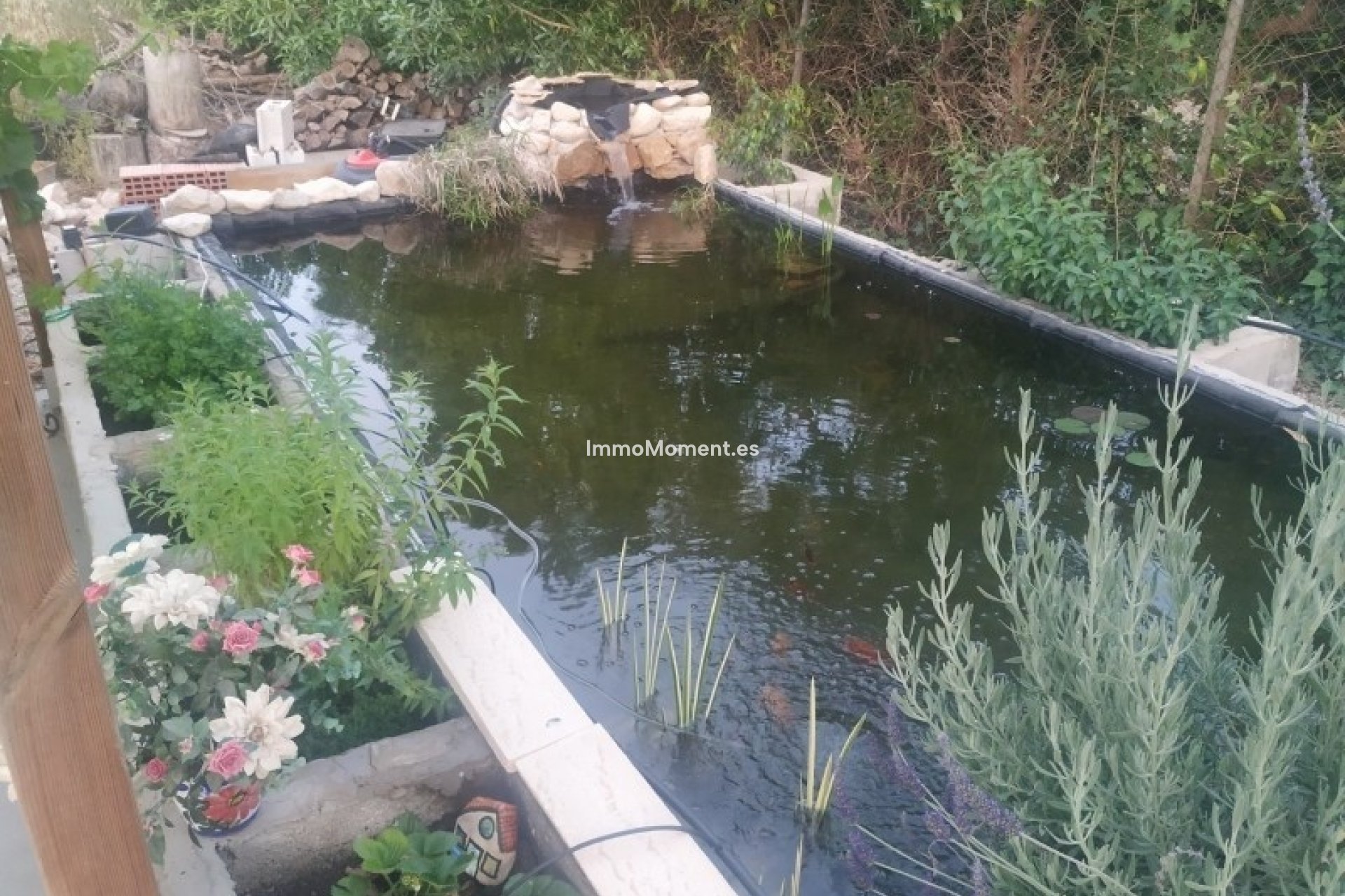 Reventa - Casa de campo - Crevillente - Crevillente - Crevillent Centro