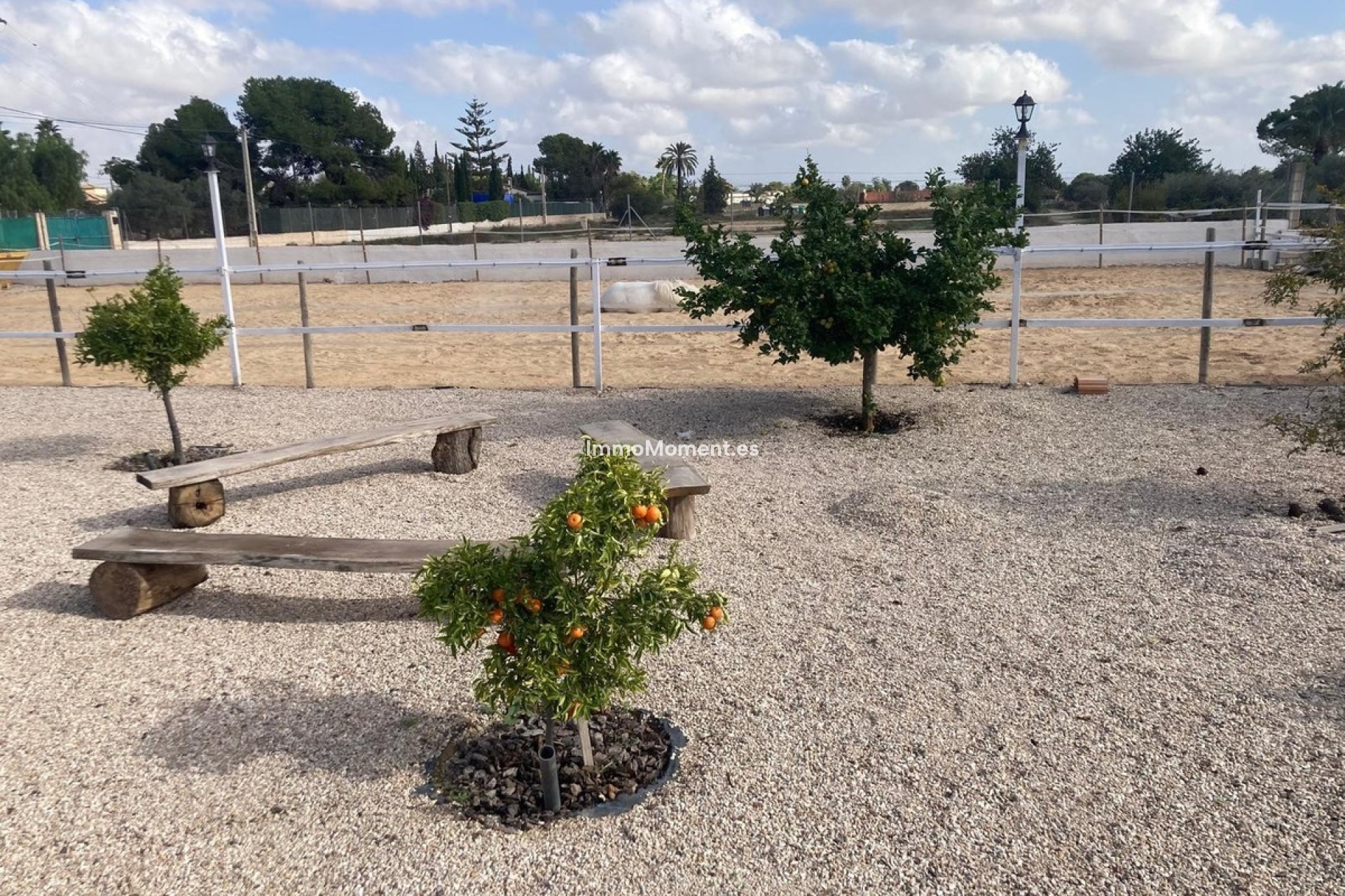 Reventa - Casa de campo - Crevillente - Crevillente - Crevillent Centro