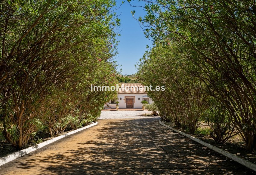 Reventa - Casa de campo - Estepona  - Cancelada
