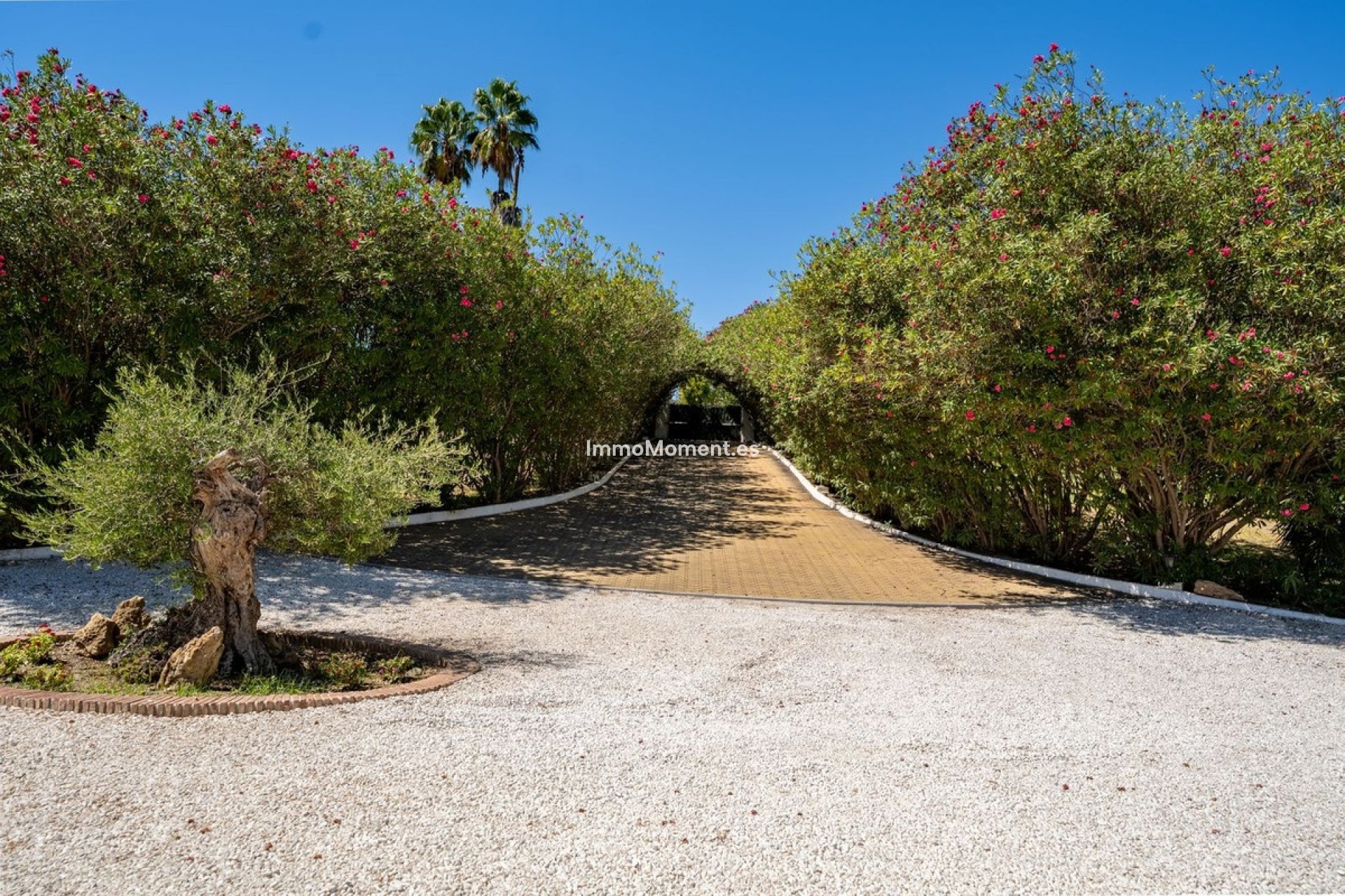 Reventa - Casa de campo - Estepona  - Cancelada