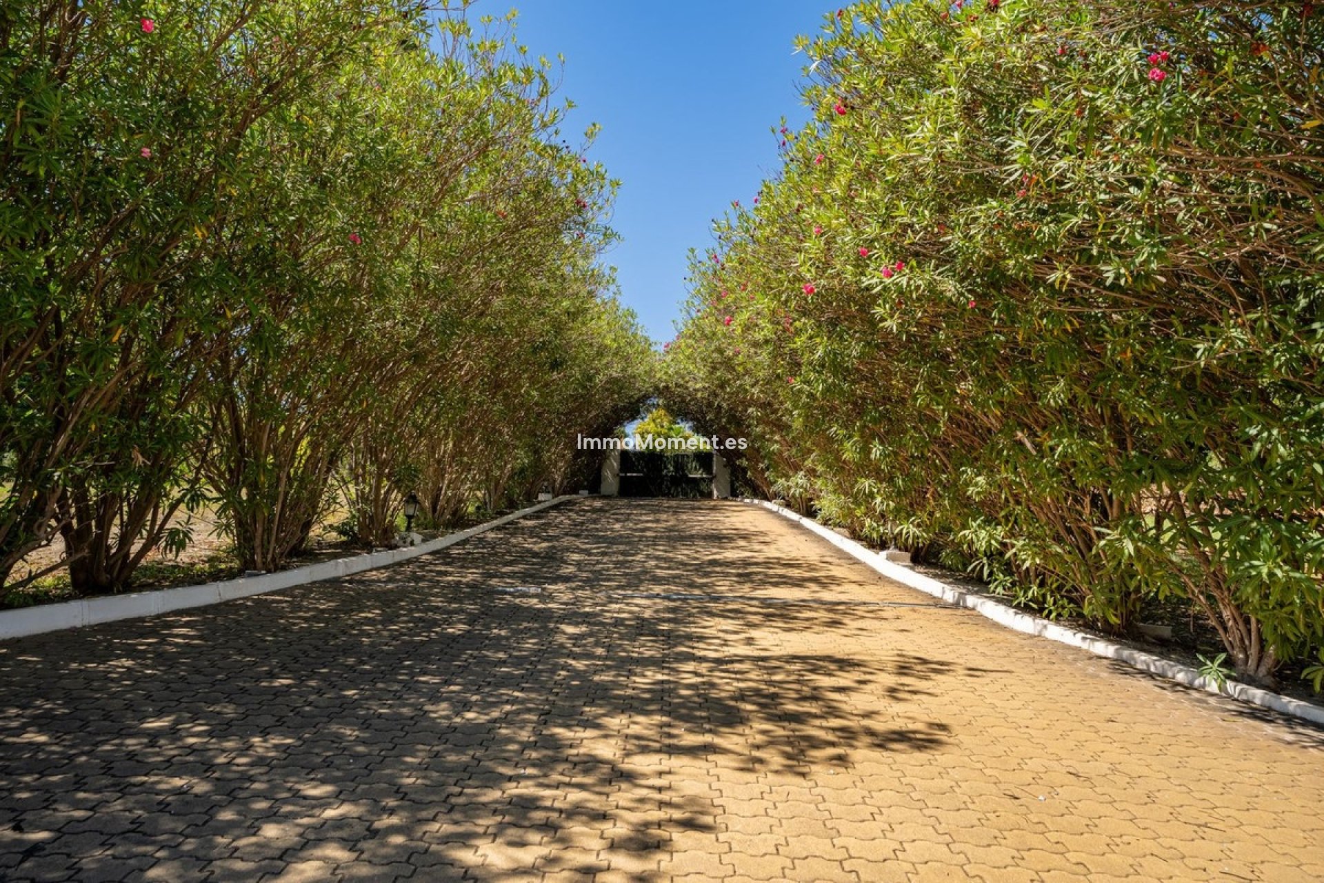 Reventa - Casa de campo - Estepona  - Cancelada