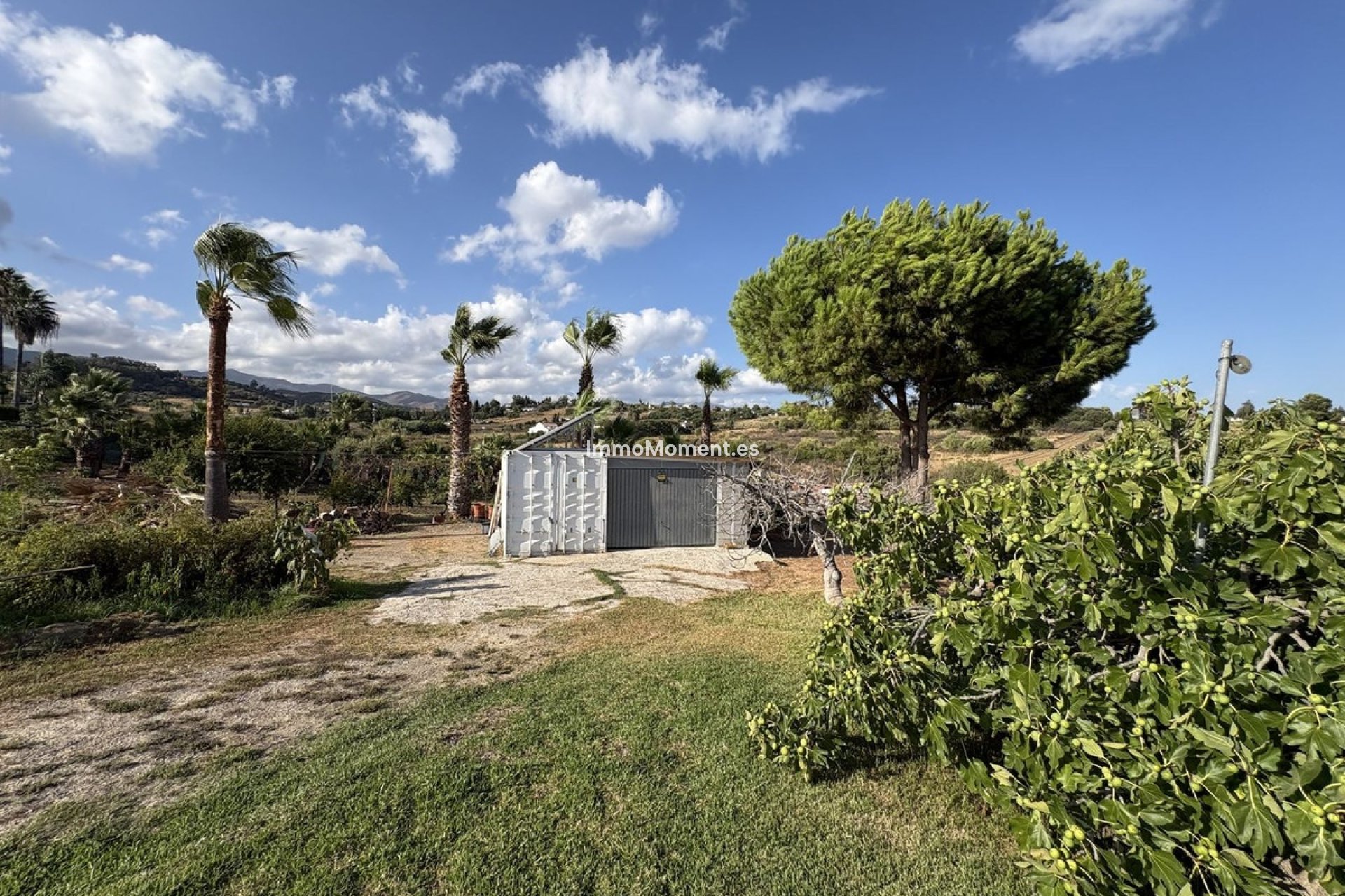 Reventa - Casa de campo - Estepona  - El Padron
