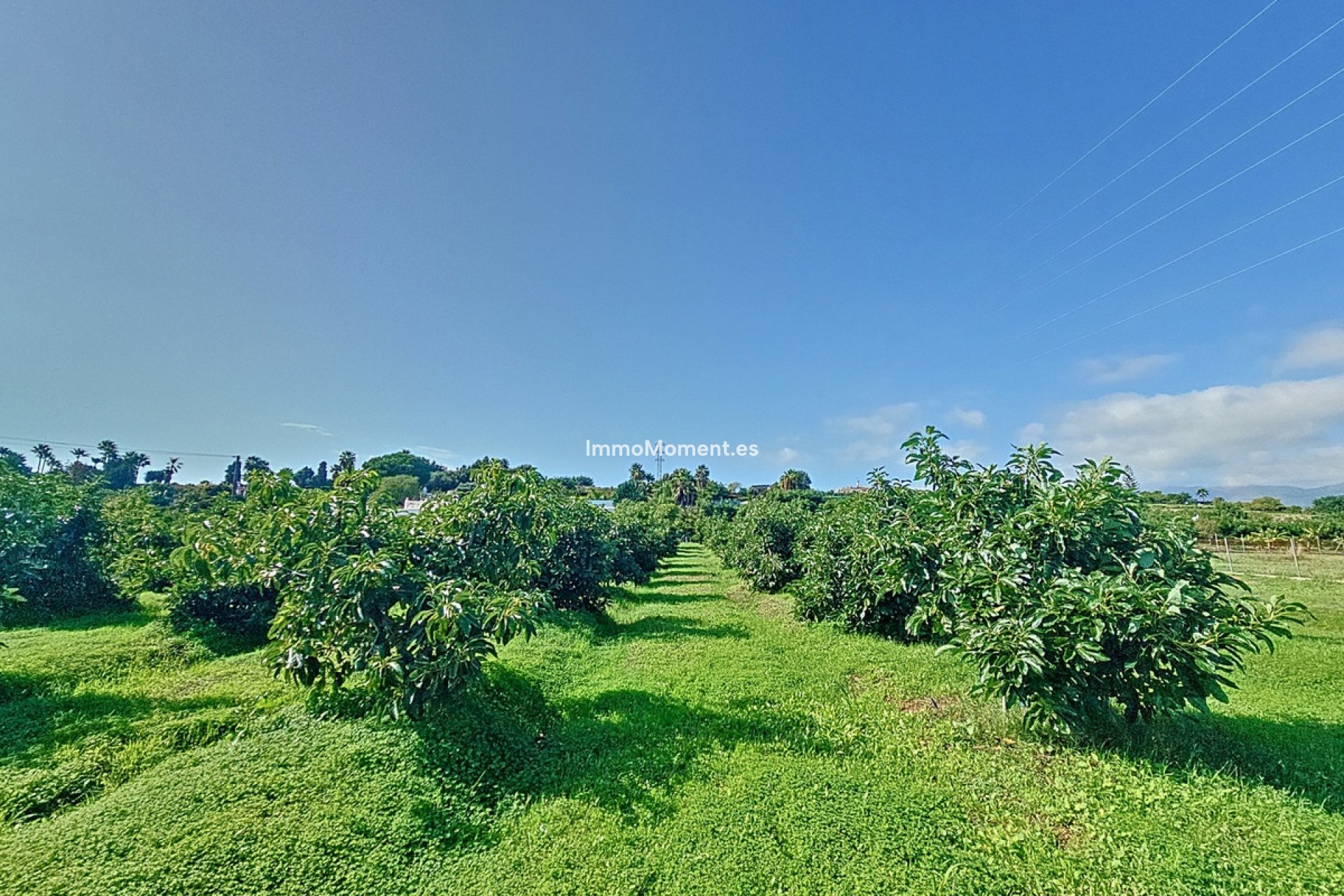 Reventa - Casa de campo - Estepona  - El Padron