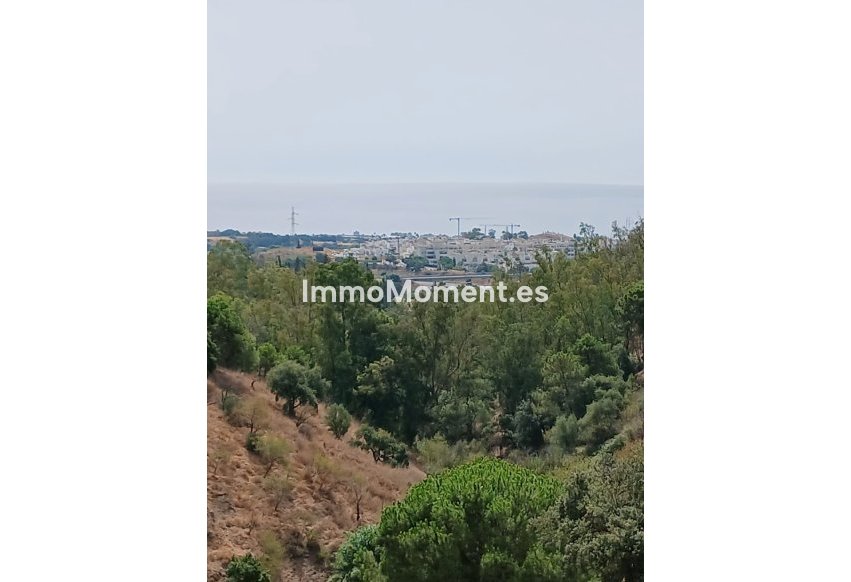 Reventa - Casa de campo - Estepona  - Estepona Centro