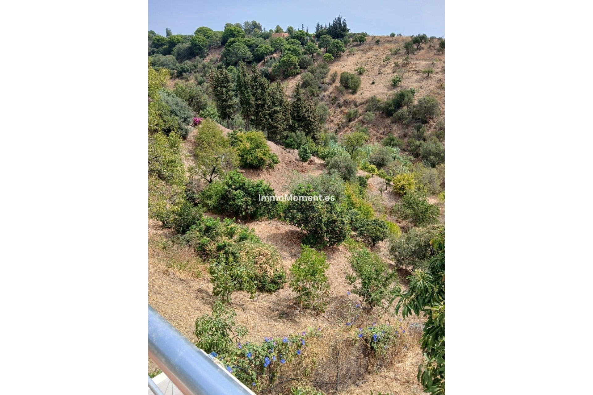 Reventa - Casa de campo - Estepona  - Estepona Centro