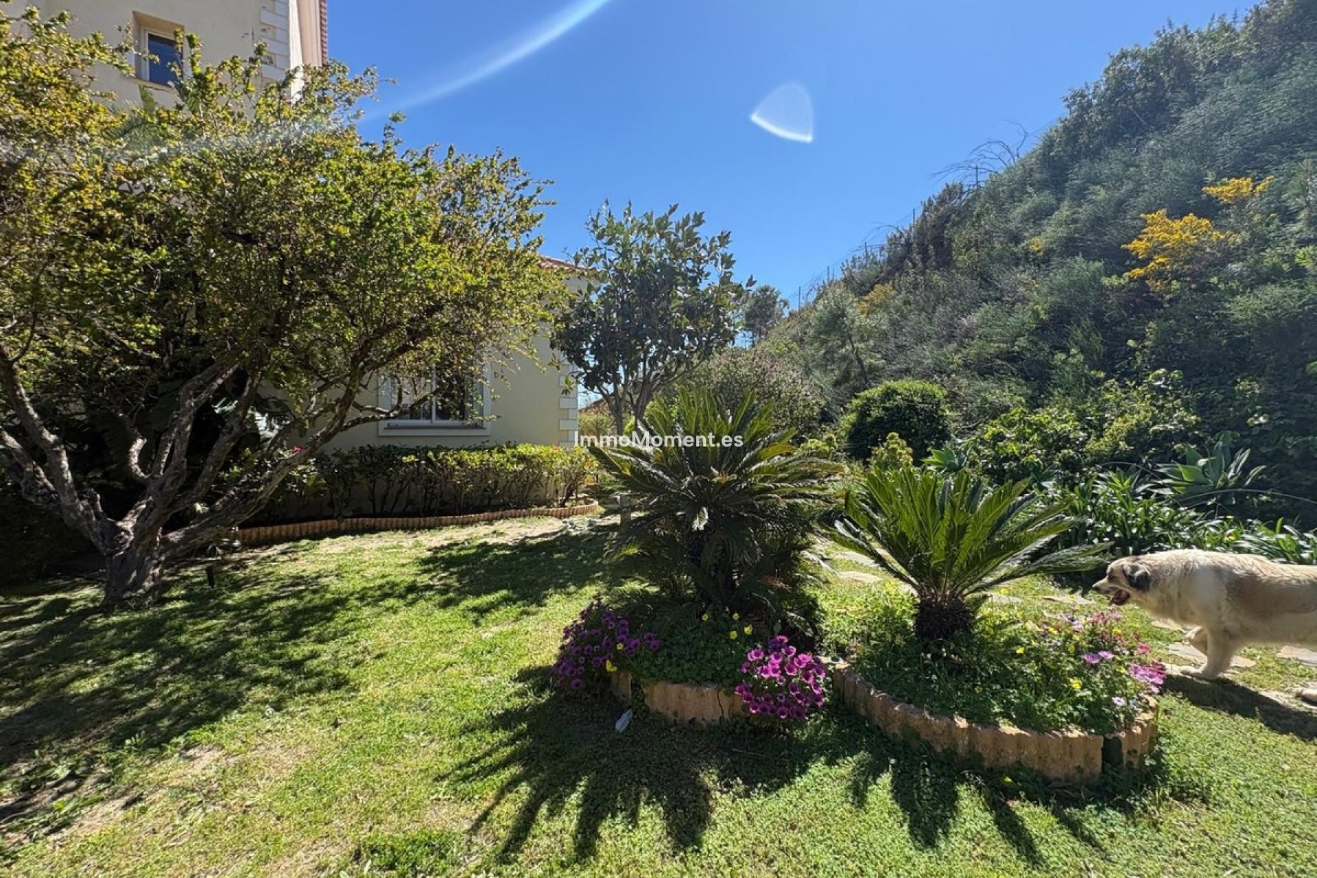 Reventa - Casa de campo - Estepona  - Estepona Centro