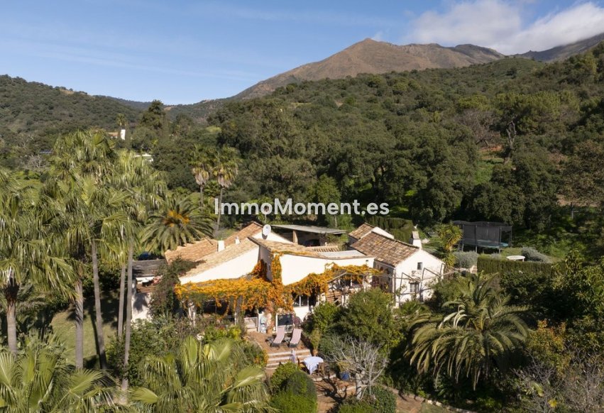 Reventa - Casa de campo - Estepona  - Estepona Centro