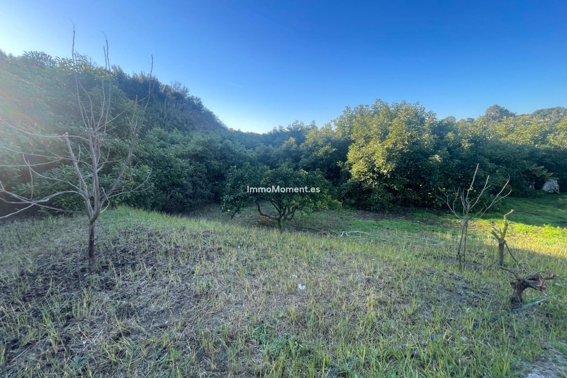 Reventa - Casa de campo - Estepona  - Estepona Centro