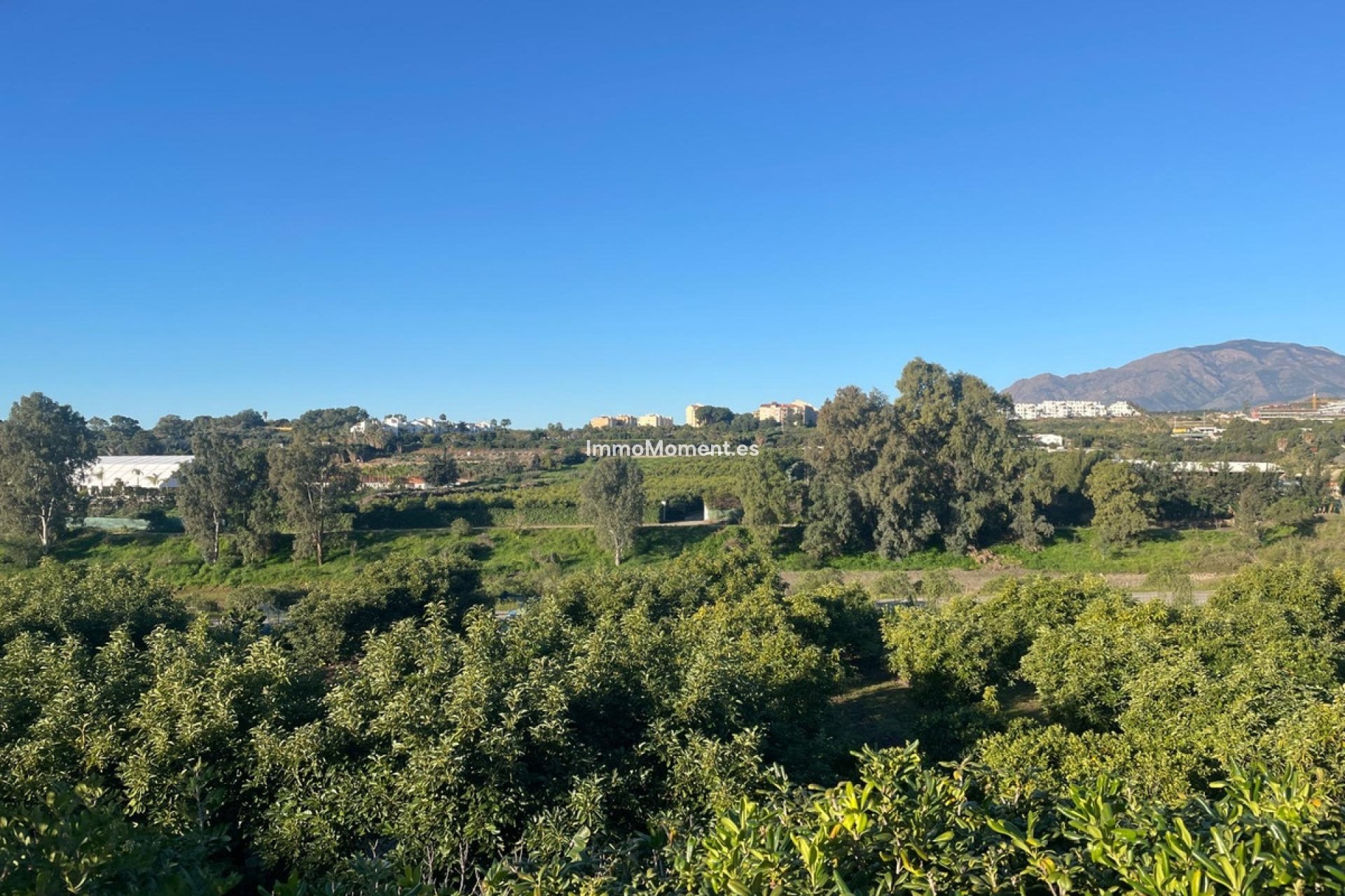 Reventa - Casa de campo - Estepona  - Estepona Centro