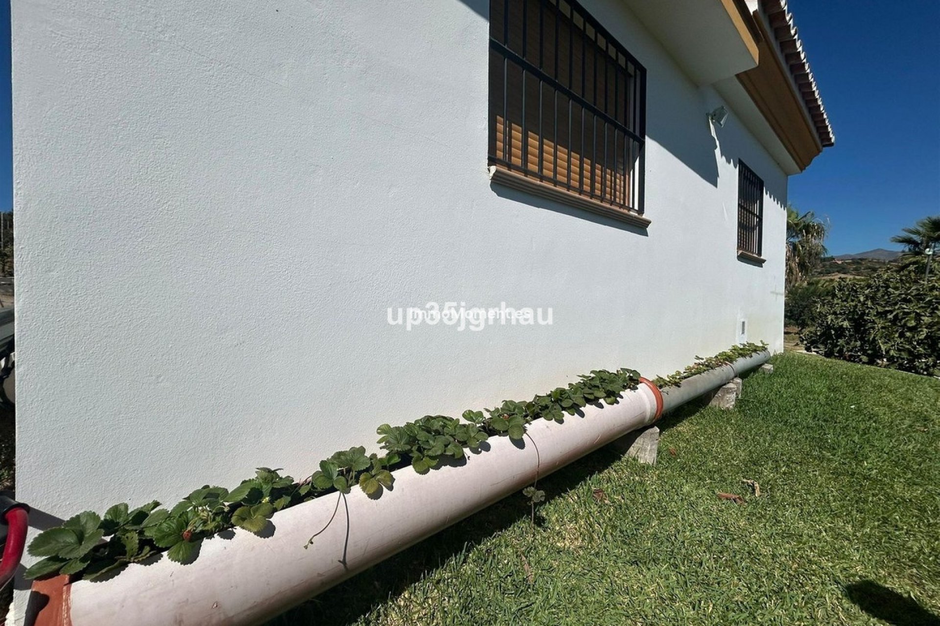 Reventa - Casa de campo - Estepona  - Estepona Centro