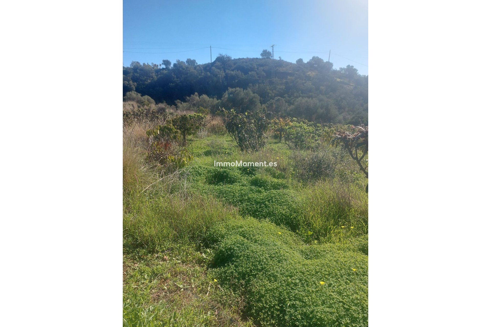 Reventa - Casa de campo - Estepona  - Estepona Centro