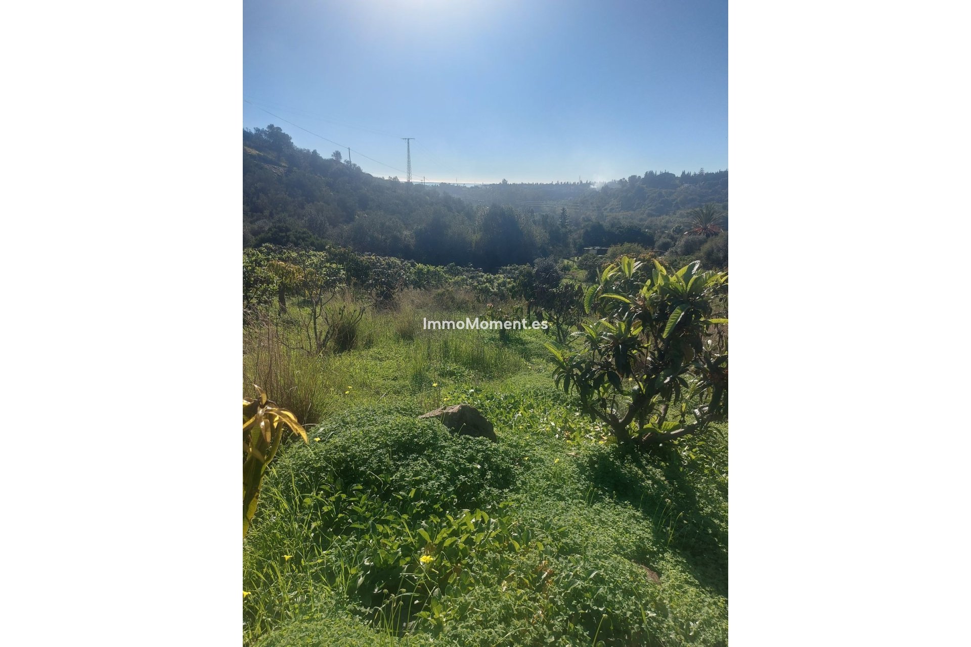 Reventa - Casa de campo - Estepona  - Estepona Centro