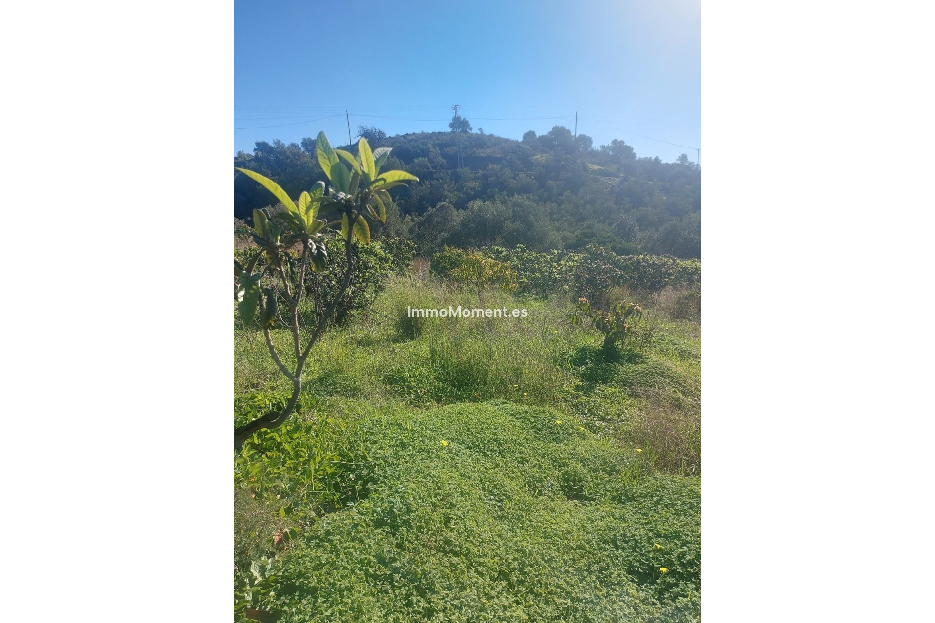 Reventa - Casa de campo - Estepona  - Estepona Centro