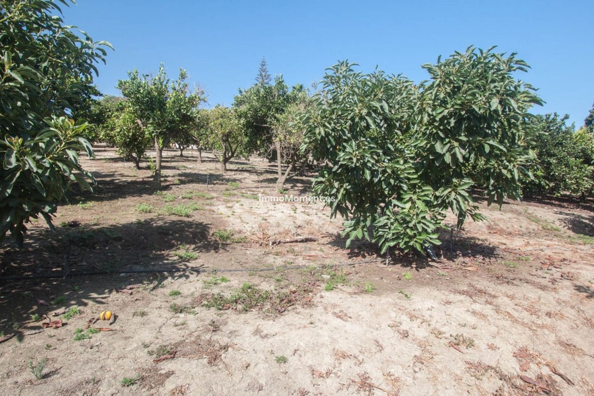 Reventa - Casa de campo - Estepona  - Estepona Centro