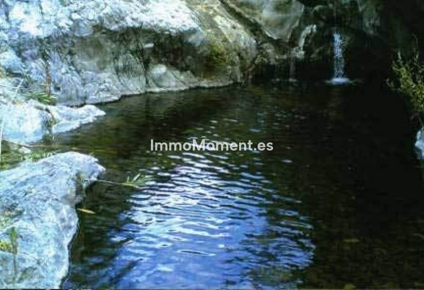 Reventa - Casa de campo - Estepona  - Estepona Centro