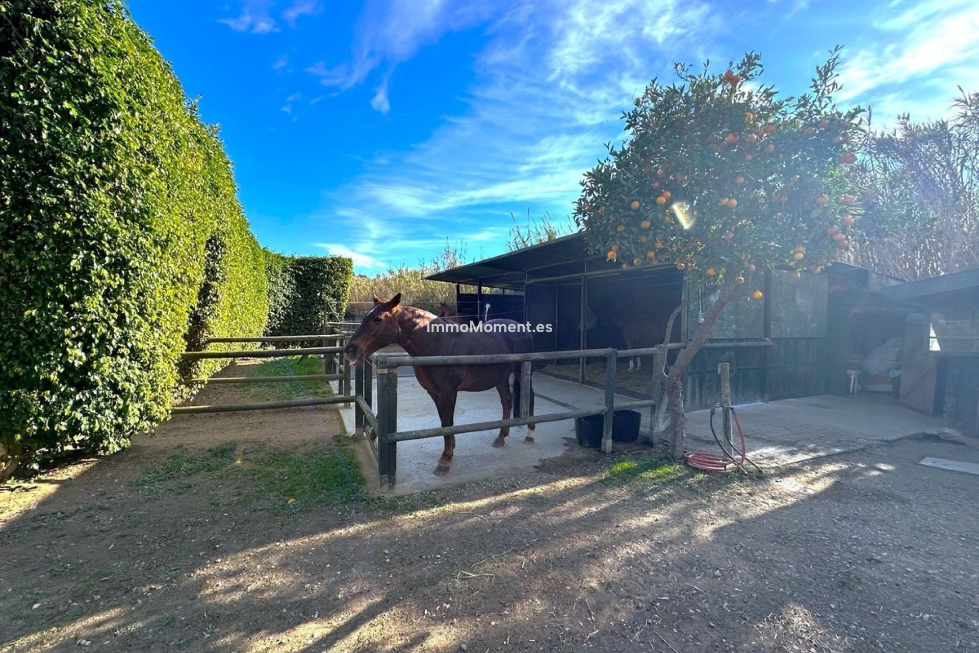 Reventa - Casa de campo - Estepona  - Estepona Centro