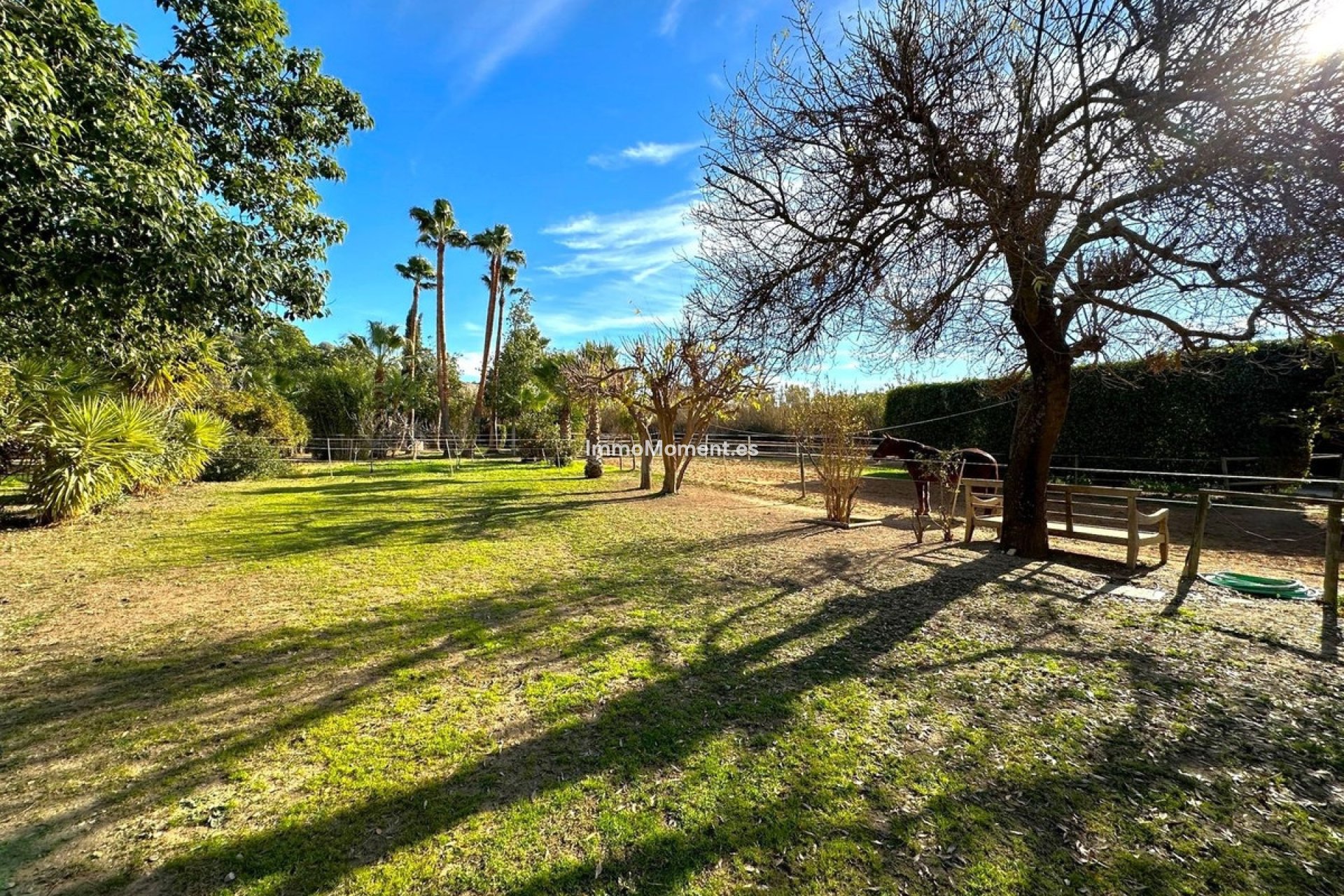 Reventa - Casa de campo - Estepona  - Estepona Centro