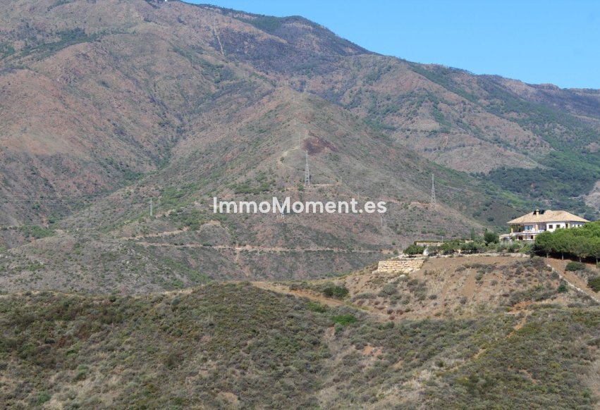 Reventa - Casa de campo - Estepona  - Estepona Centro