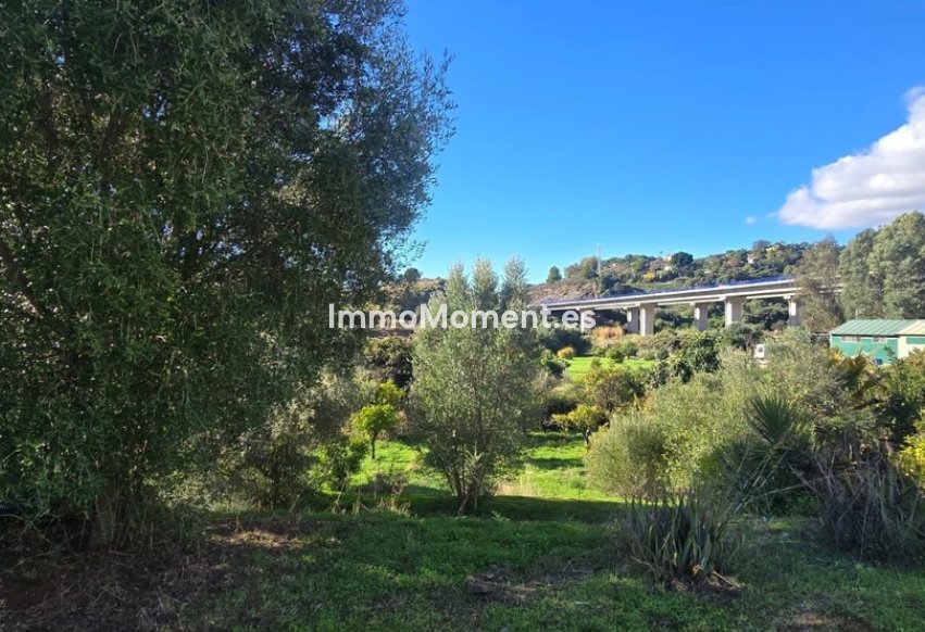 Reventa - Casa de campo - Estepona  - Estepona Centro