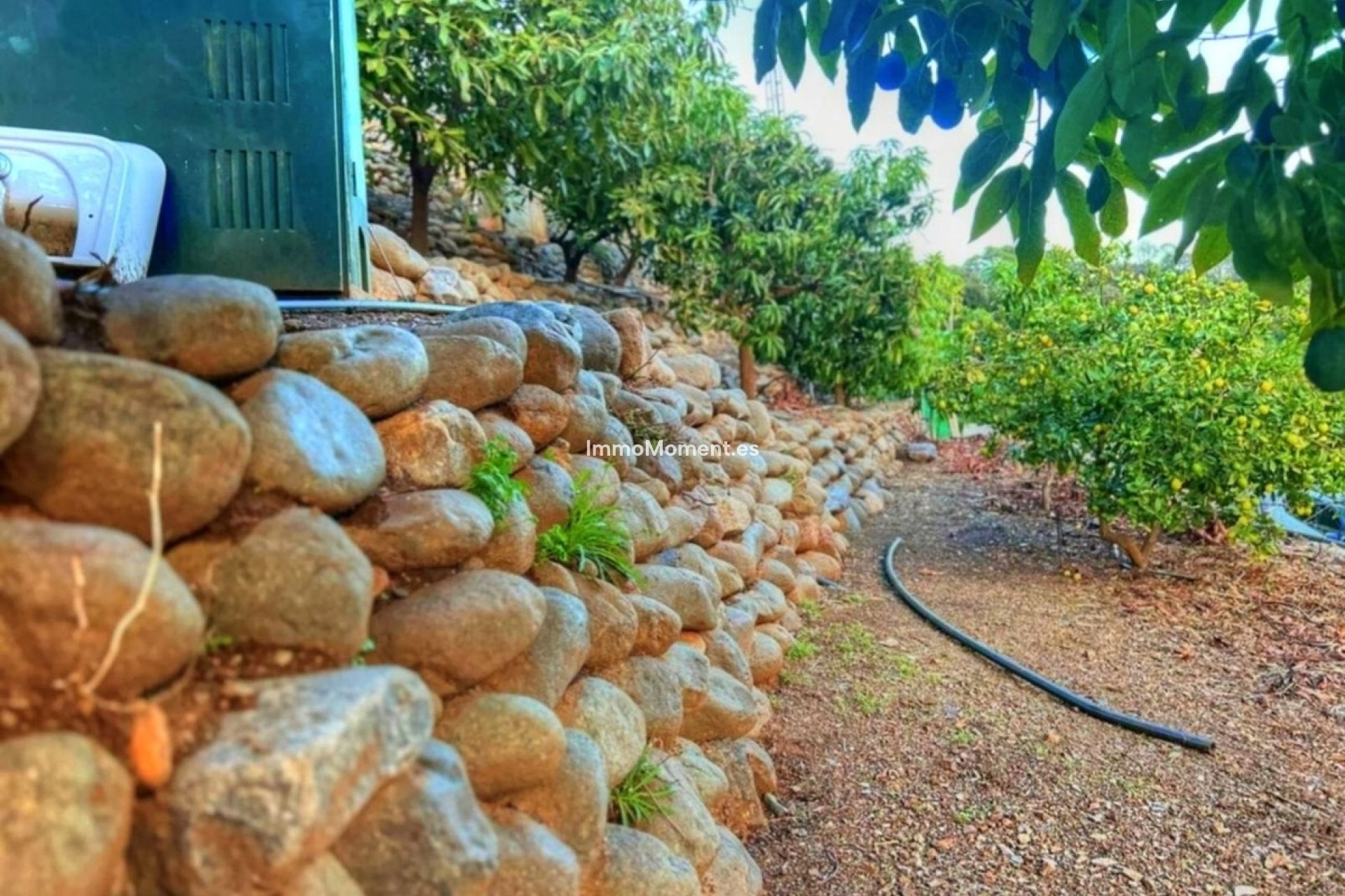 Reventa - Casa de campo - Estepona  - Estepona Centro
