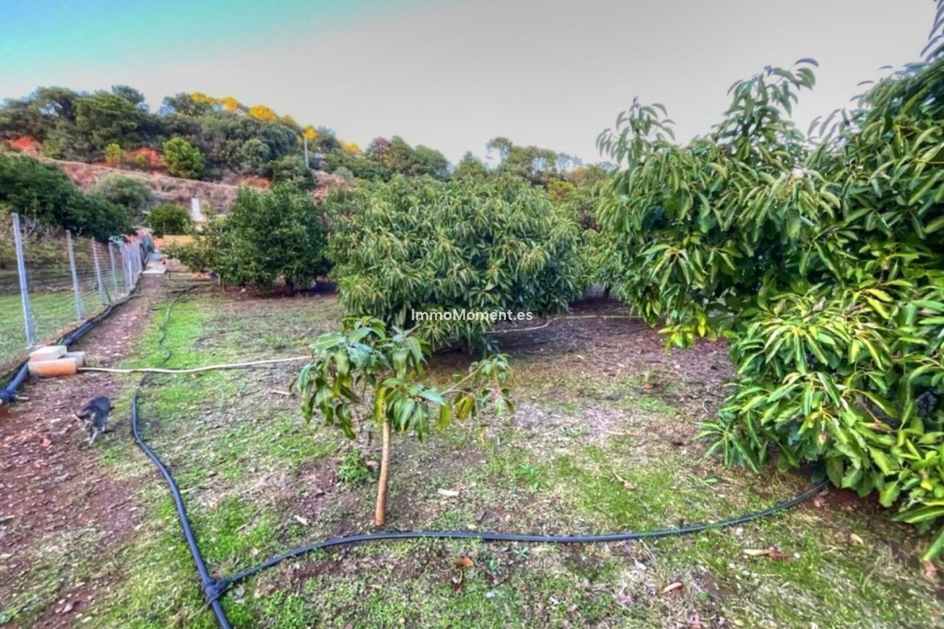 Reventa - Casa de campo - Estepona  - Estepona Centro