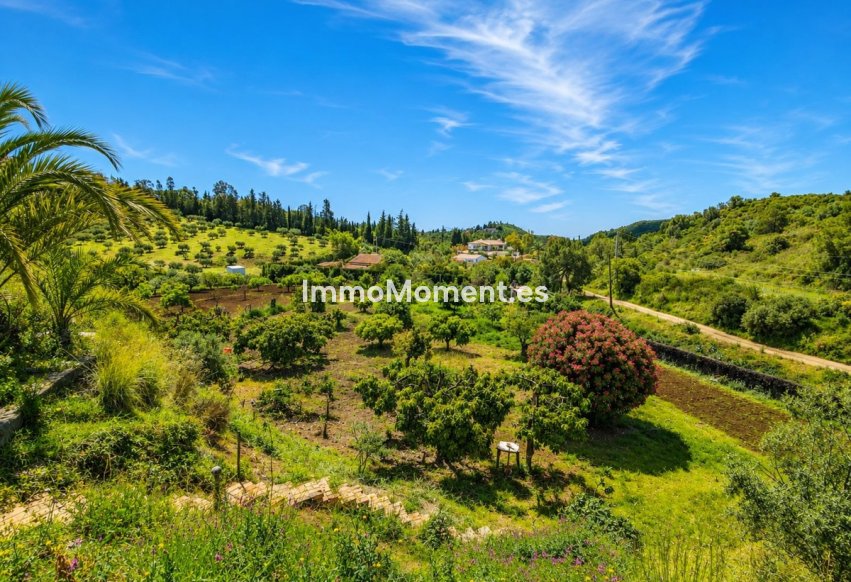 Reventa - Casa de campo - Estepona  - Estepona Centro