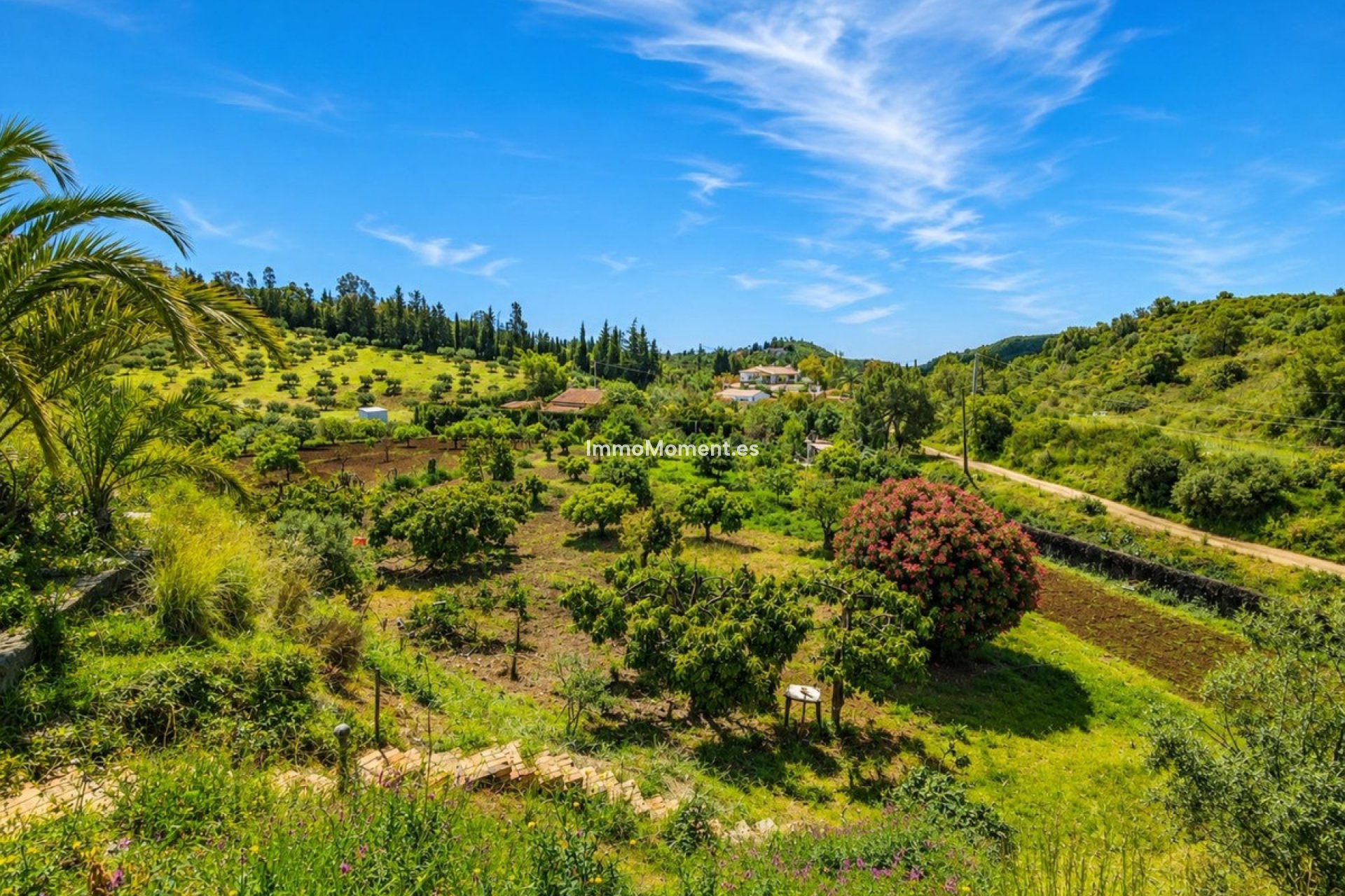 Reventa - Casa de campo - Estepona  - Estepona Centro
