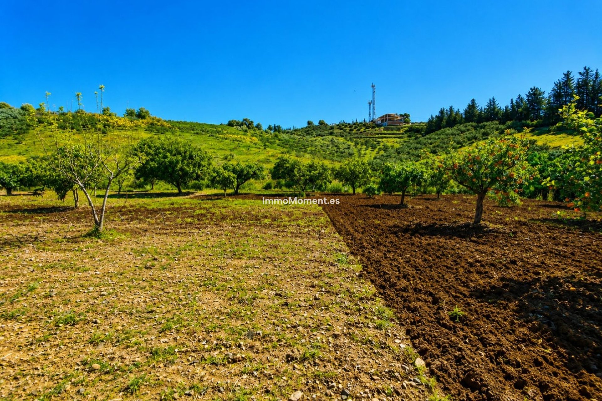 Reventa - Casa de campo - Estepona  - Estepona Centro