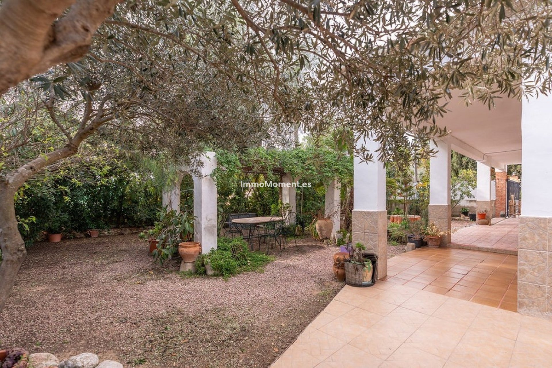 Reventa - Casa de campo - Hondón de las Nieves - Hondón de las Nieves Centro