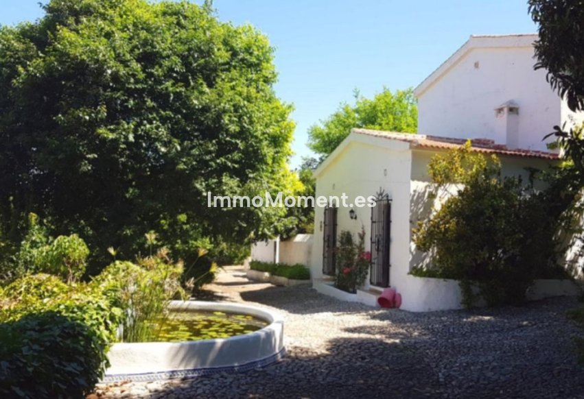 Reventa - Casa de campo - Interior  - Alhaurín de la Torre