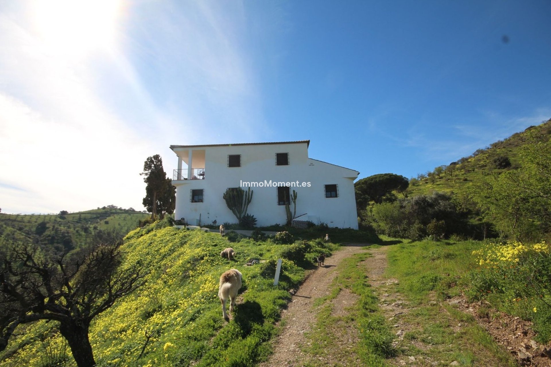 Reventa - Casa de campo - Interior  - Almogía