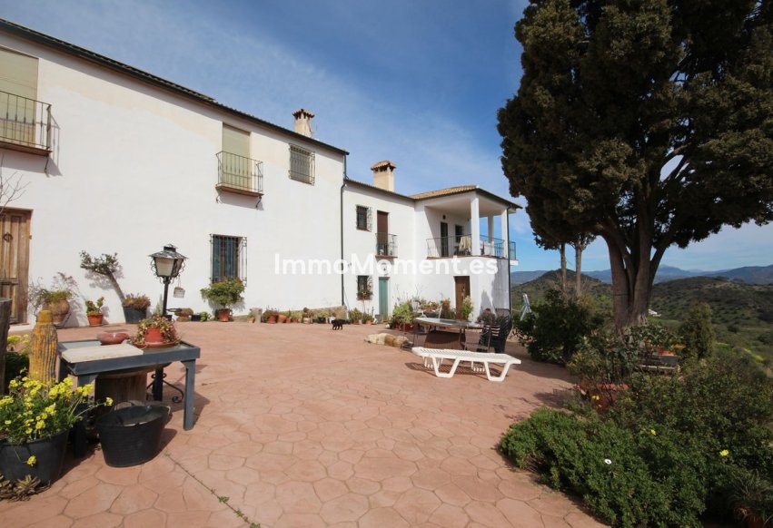 Reventa - Casa de campo - Interior  - Almogía