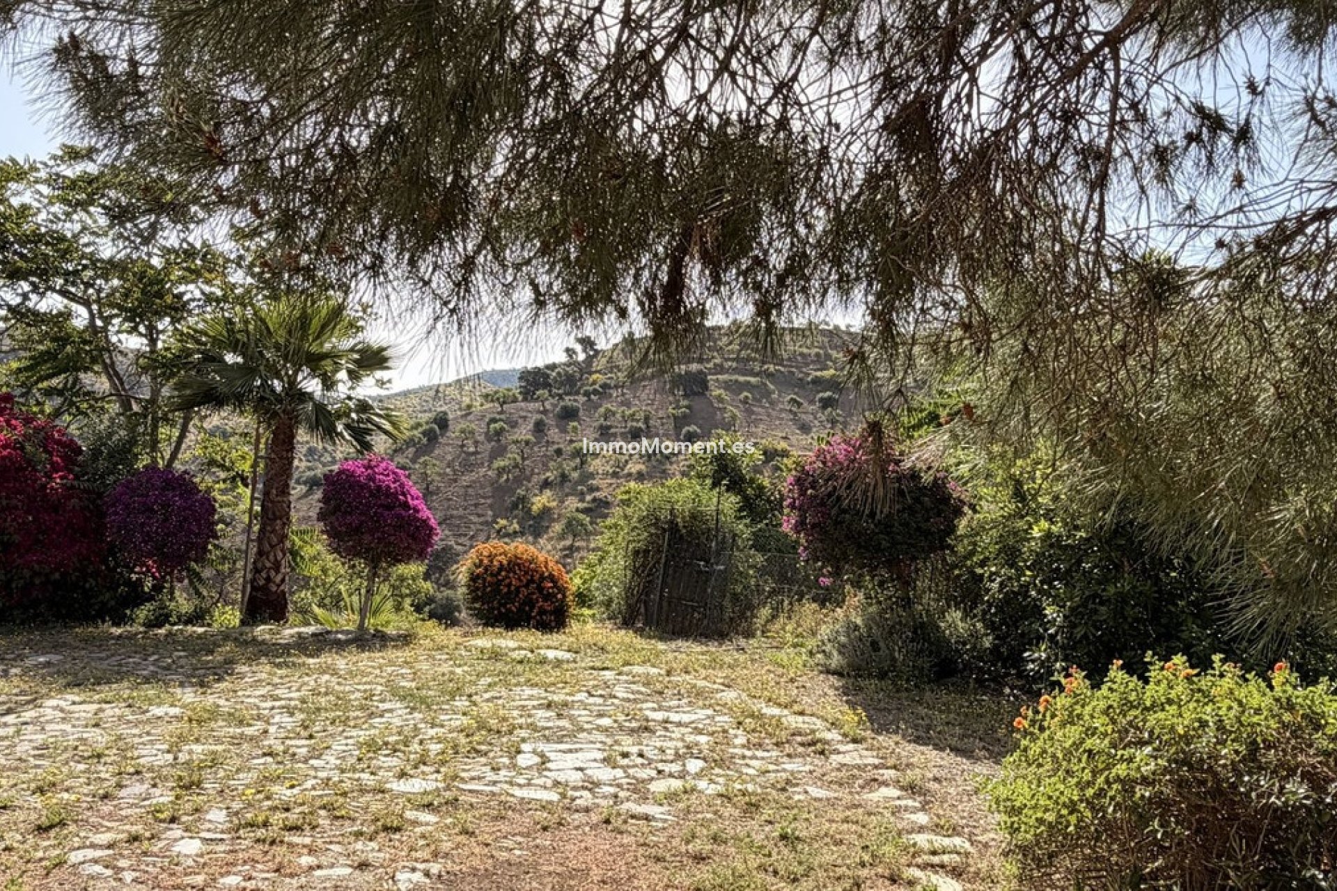 Reventa - Casa de campo - Interior  - Almogía
