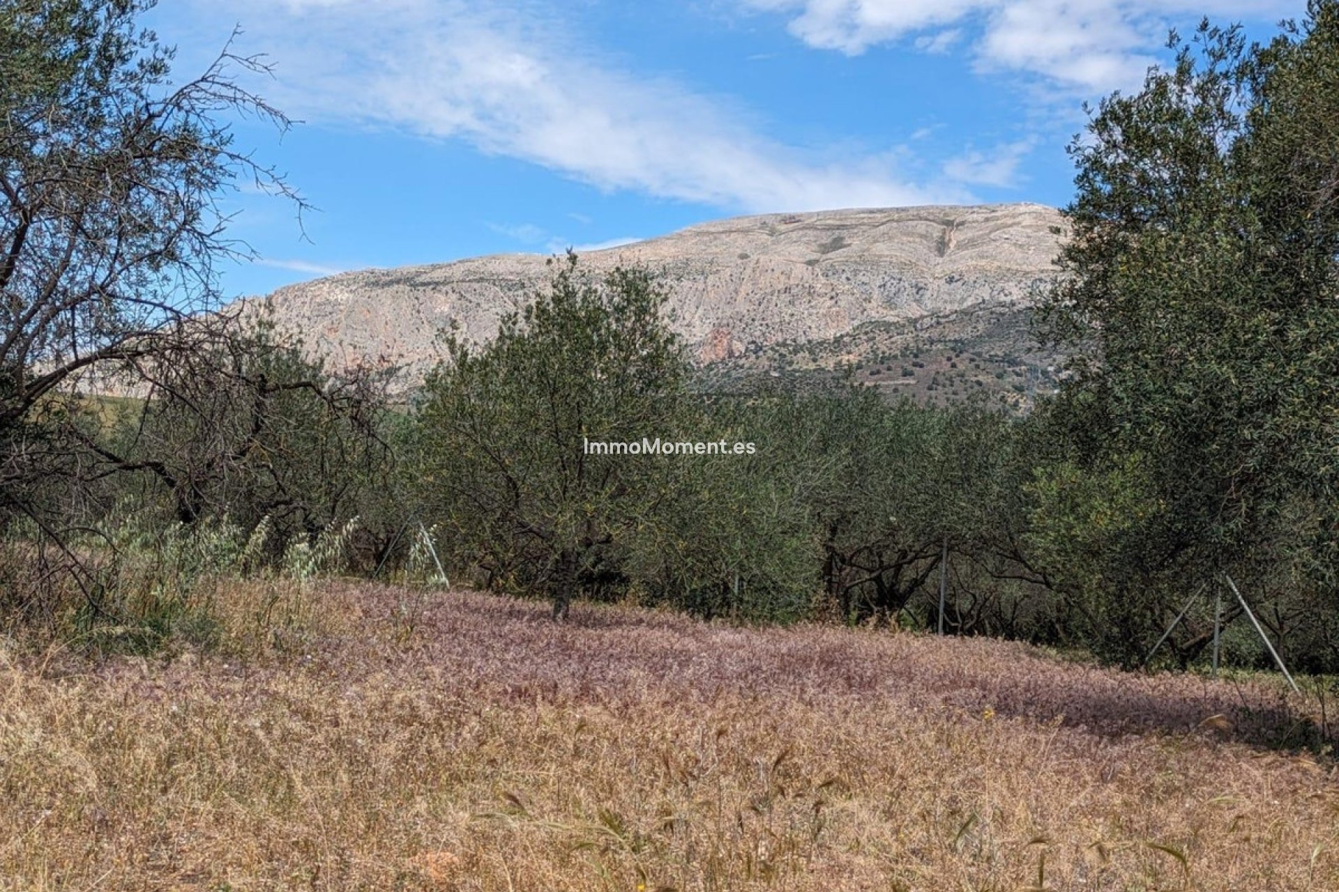Reventa - Casa de campo - Interior  - Alora
