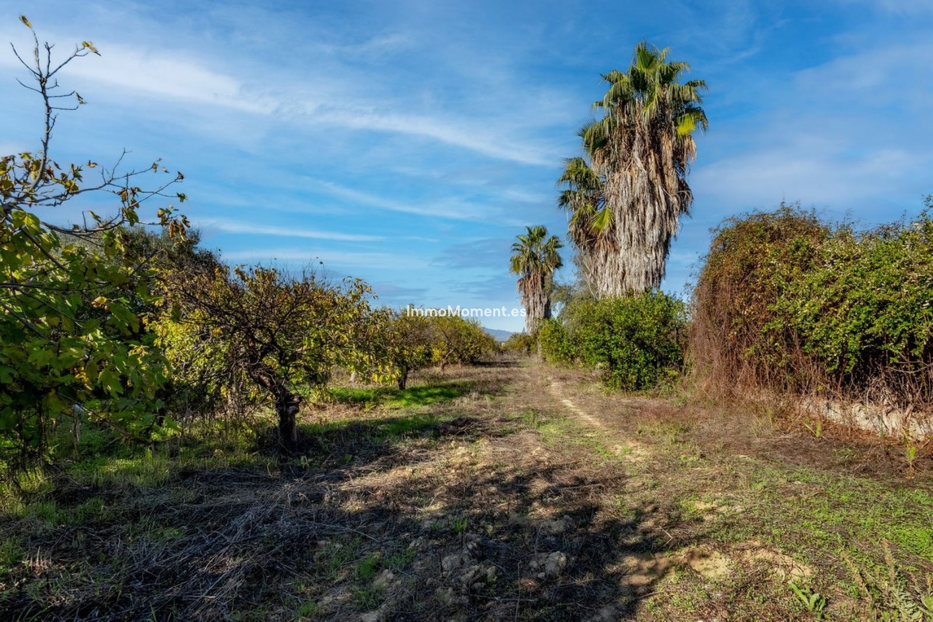 Reventa - Casa de campo - Interior  - Cártama Centro