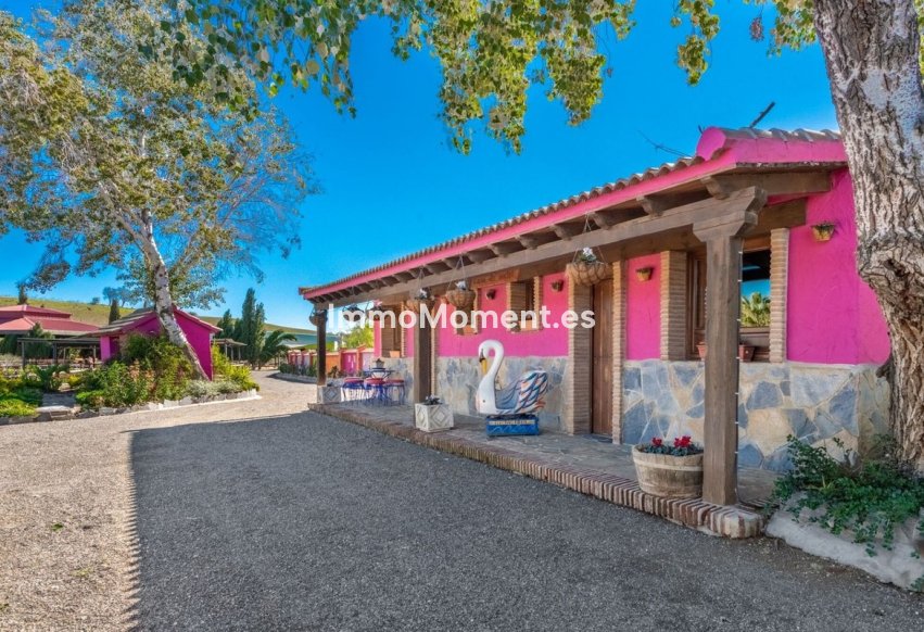 Reventa - Casa de campo - Interior  - Coín