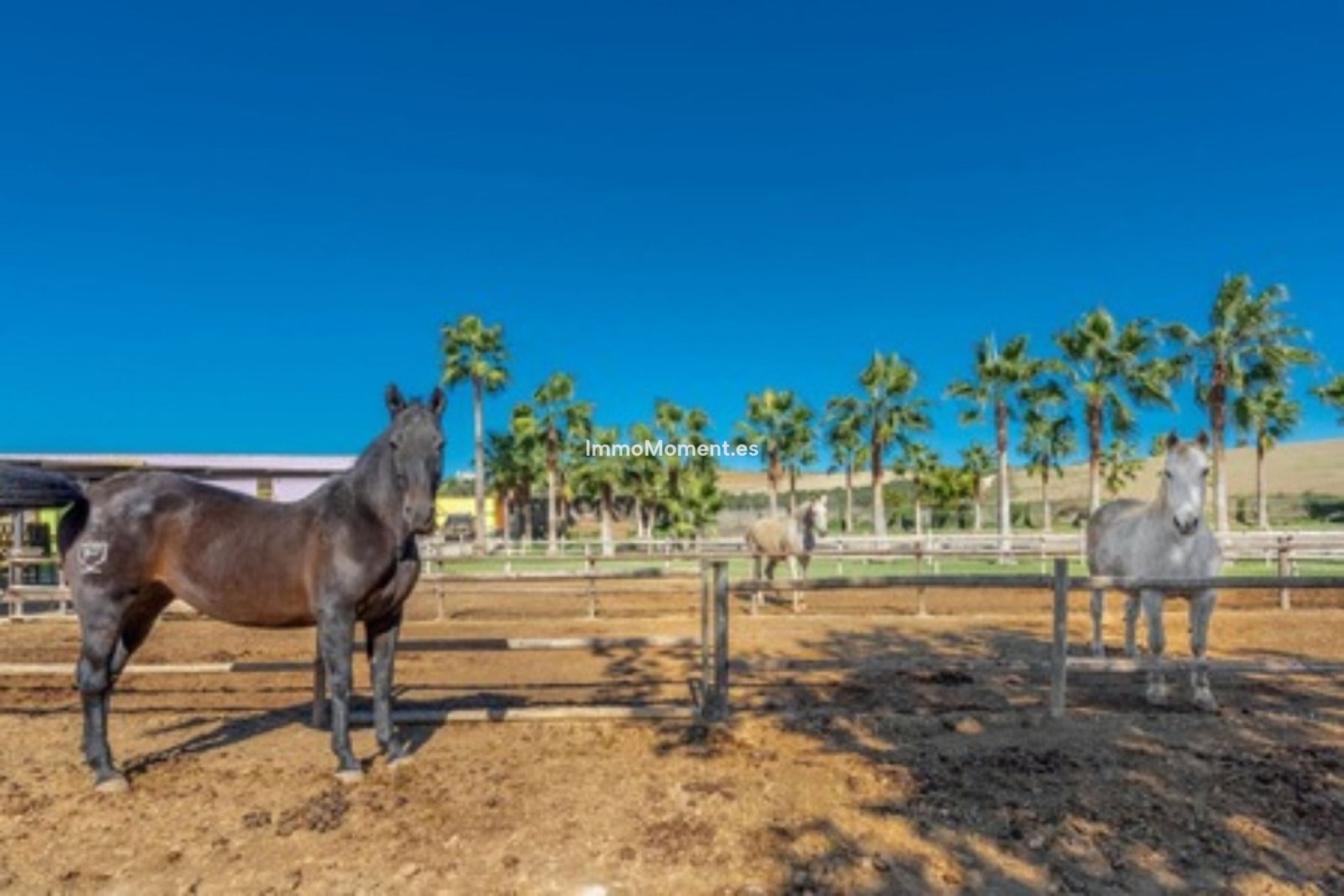 Reventa - Casa de campo - Interior  - Coín