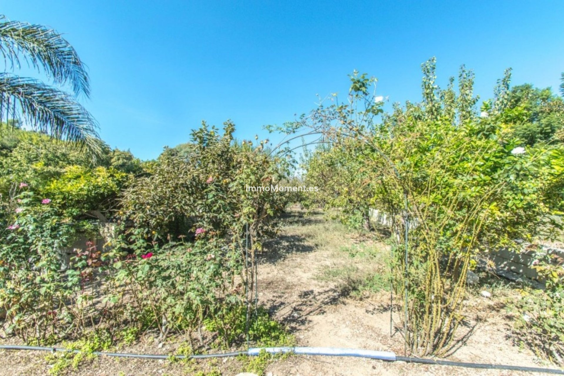 Reventa - Casa de campo - Interior  - Coín