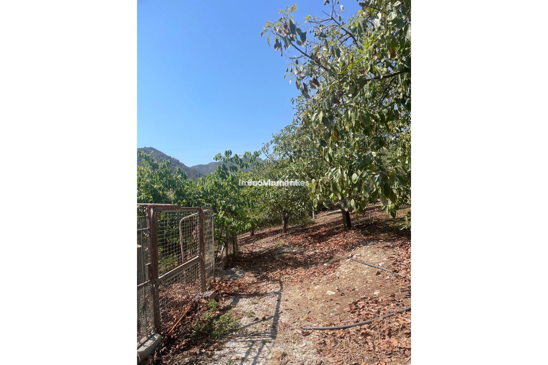 Reventa - Casa de campo - Interior  - Coín