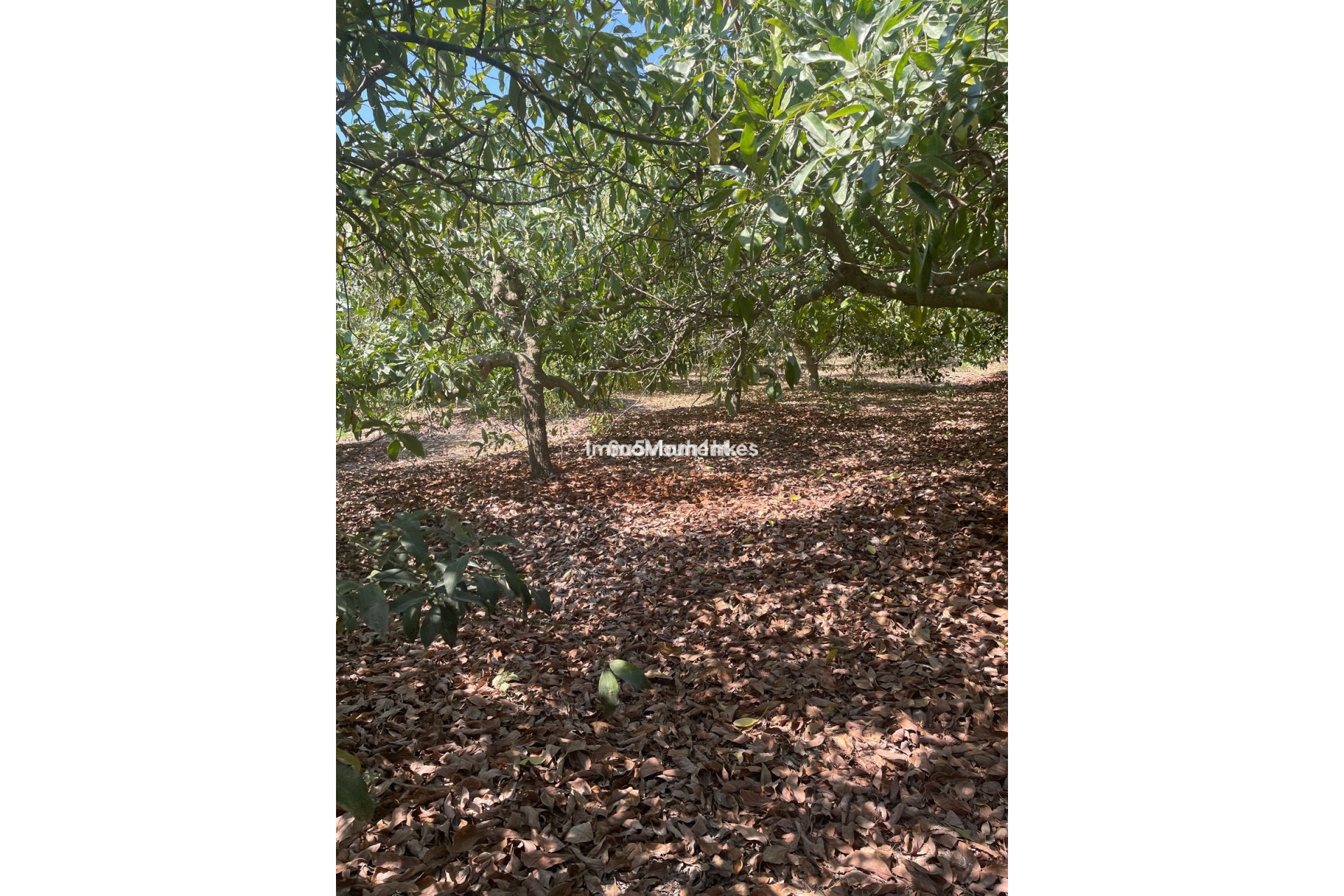 Reventa - Casa de campo - Interior  - Coín