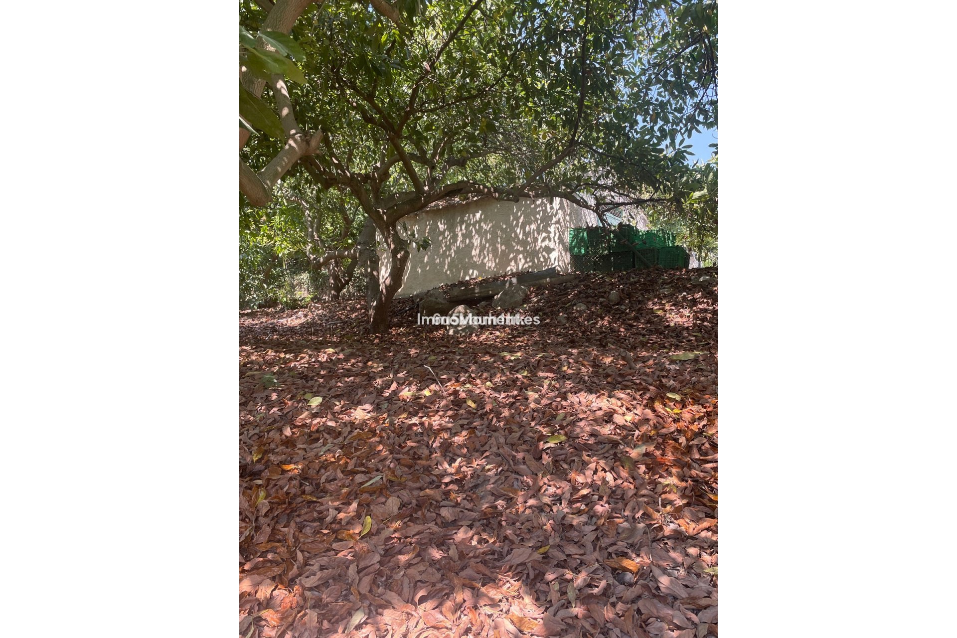 Reventa - Casa de campo - Interior  - Coín