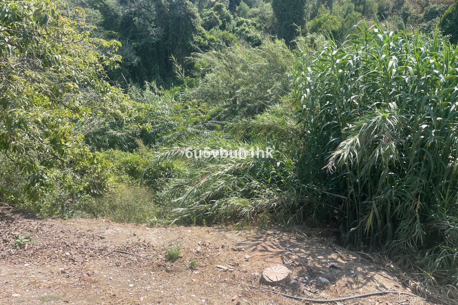 Reventa - Casa de campo - Interior  - Coín