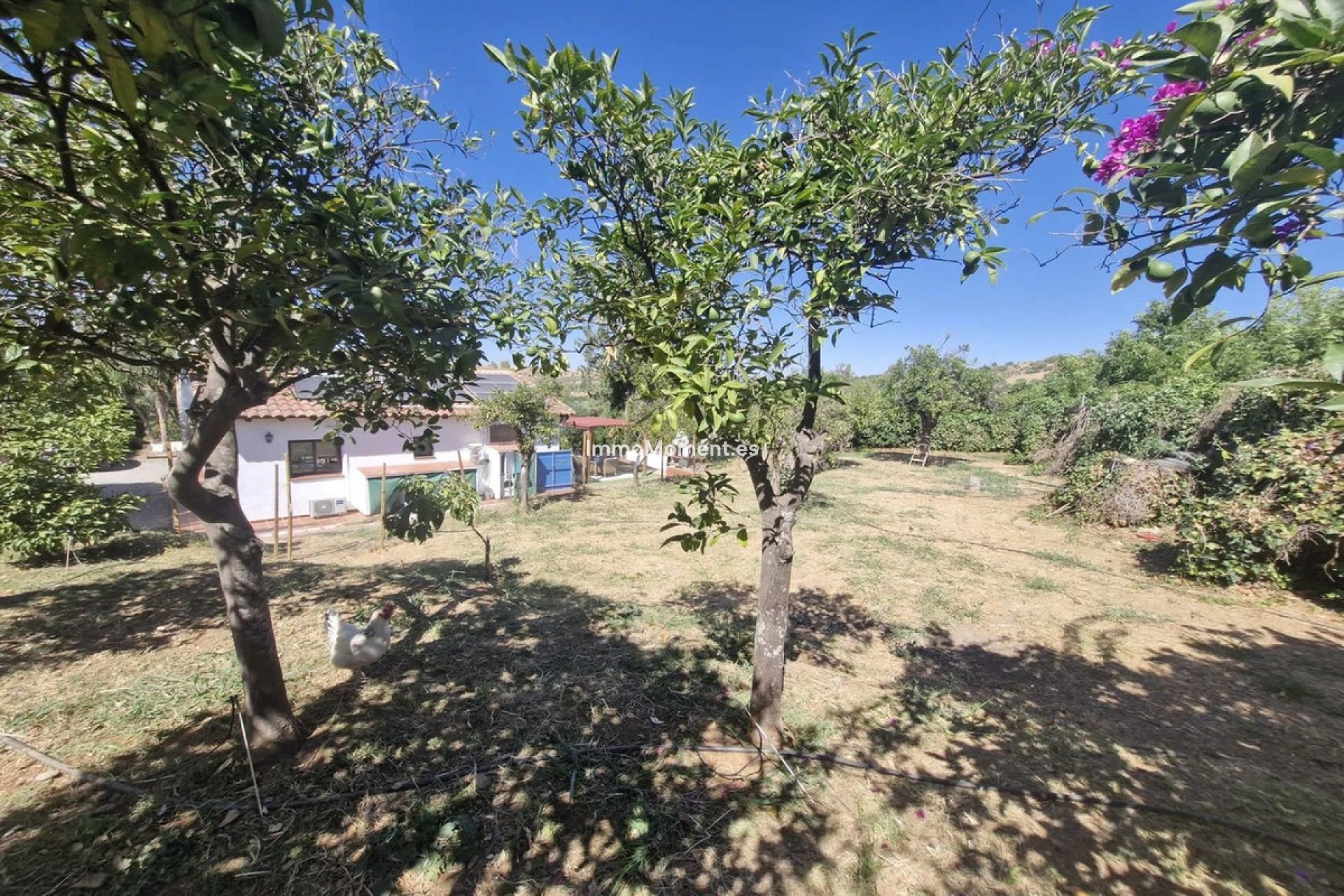Reventa - Casa de campo - Interior  - Coín